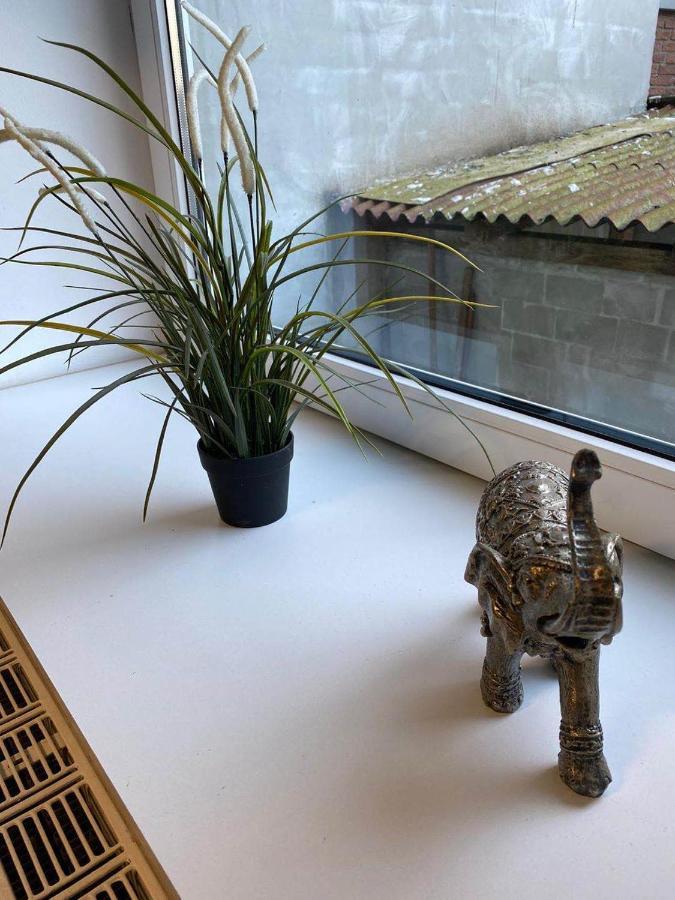 Praktische City Apartments Direkt Am Hauptbahnhof ノイミュンスター エクステリア 写真